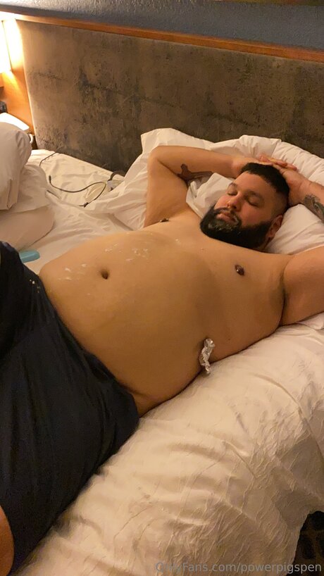 Powerpigspen