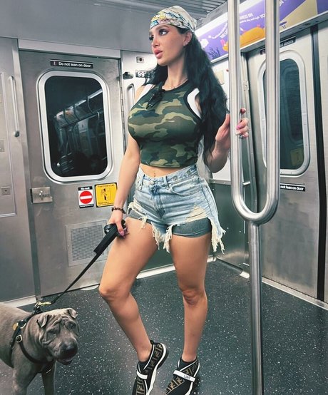 Amyanderssen