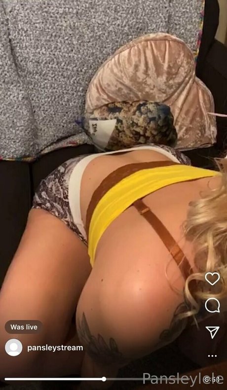 Naakte gelekte OnlyFans-foto van Pansleylive