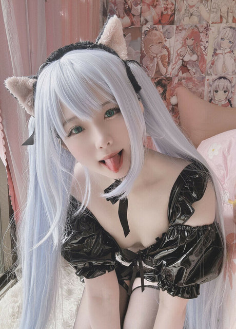 Xidaidai