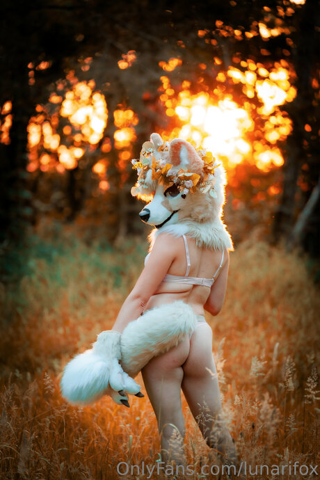 Lunarifox