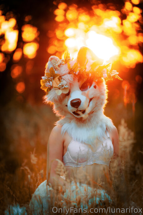 Lunarifox