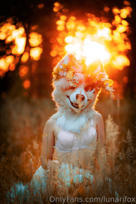 Lunarifox
