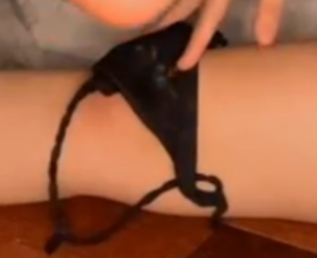 Arabella Kat