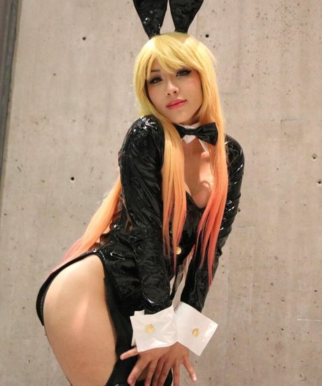 Arabella Kat