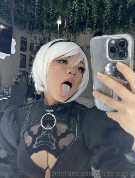 Angelicat