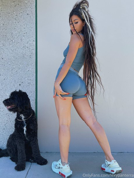Alexis Afshar