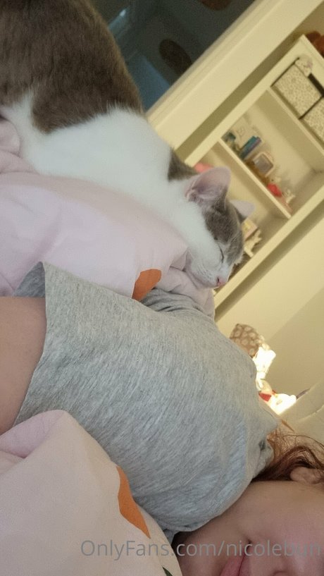 Nicolebun OnlyFans 유출 누드 사진