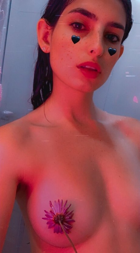 Holly Shit
