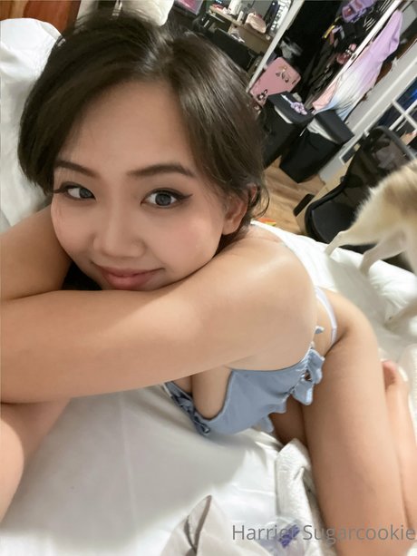 Harriet Sugarcookie