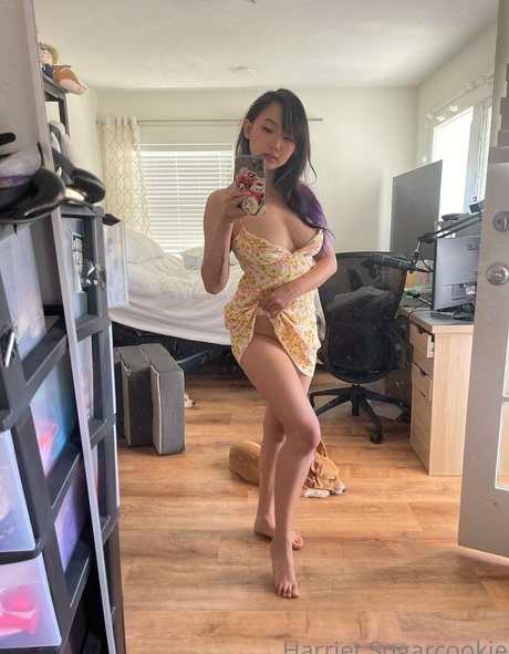 Harriet Sugarcookie