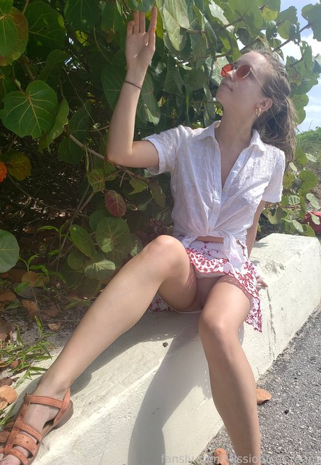 MissionIceCream