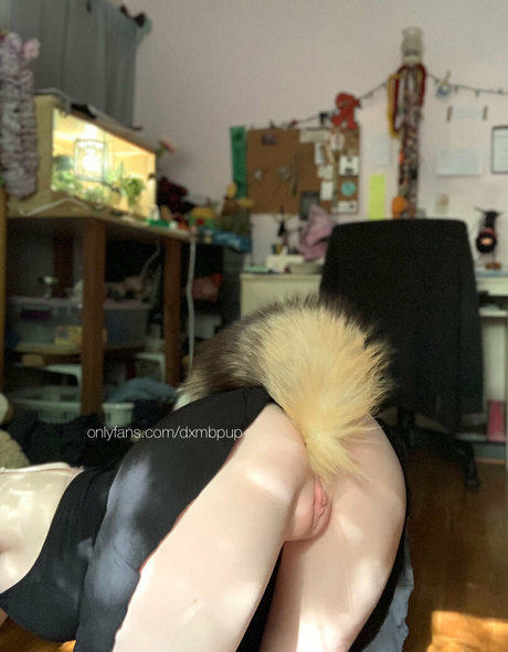 Dxmbpup