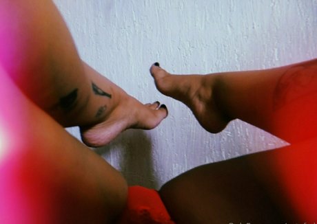 Estefyd