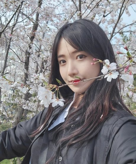 Jinnytty