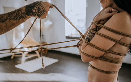 Akatsukishibari