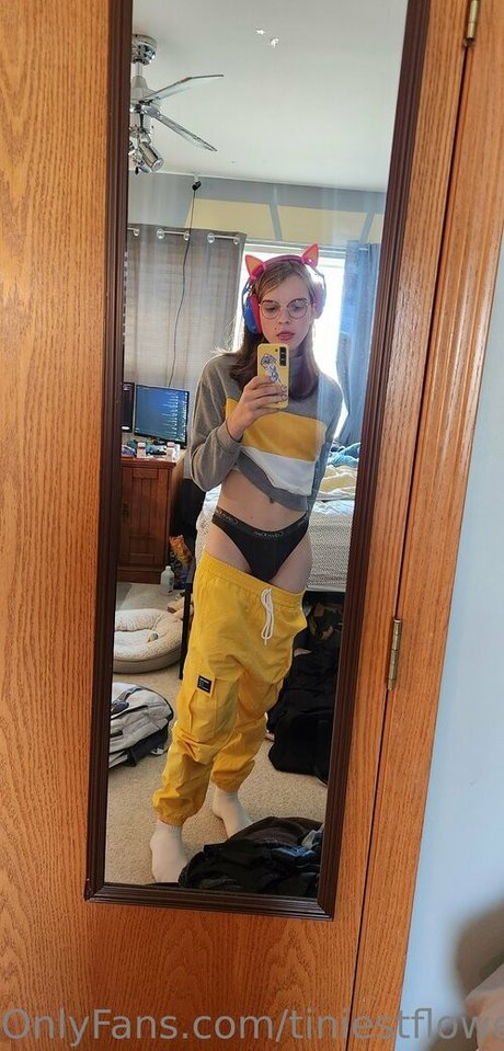 Puppygirlanatomy