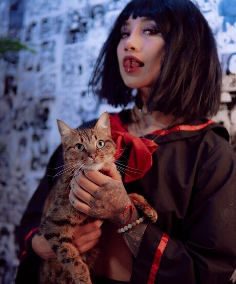 Kittymolly