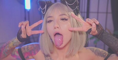 Kittymolly