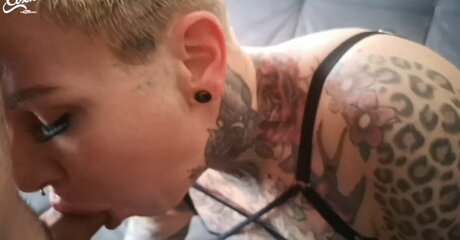 Cat Coxx
