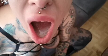 Cat Coxx