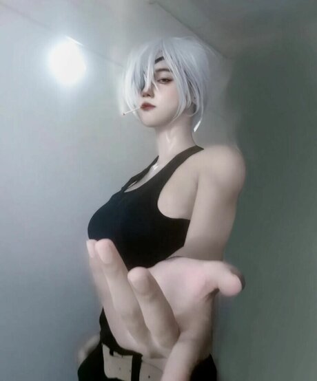 Rissamarr