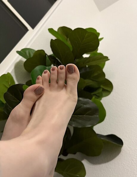 Msfiiire