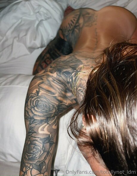 Ldmfitmodel