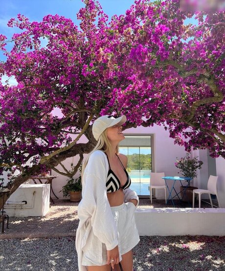 Dagi Bee