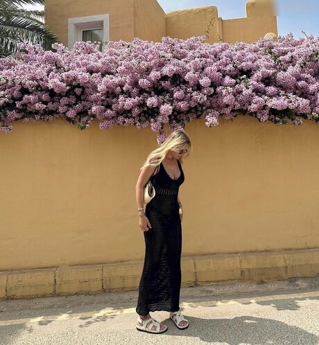 Dagi Bee
