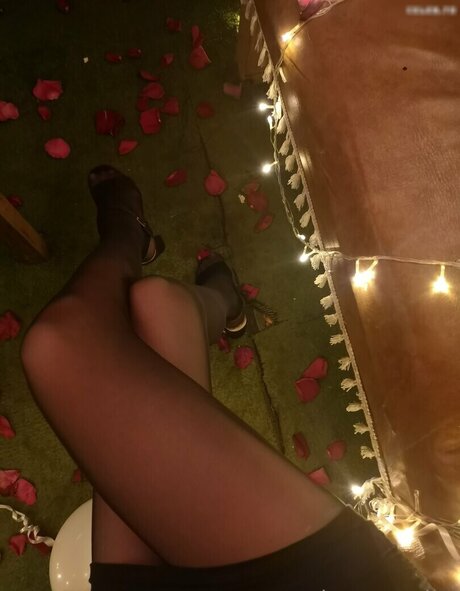 Mytightfashion