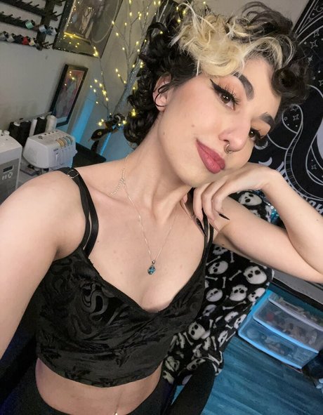Sailortabbycat