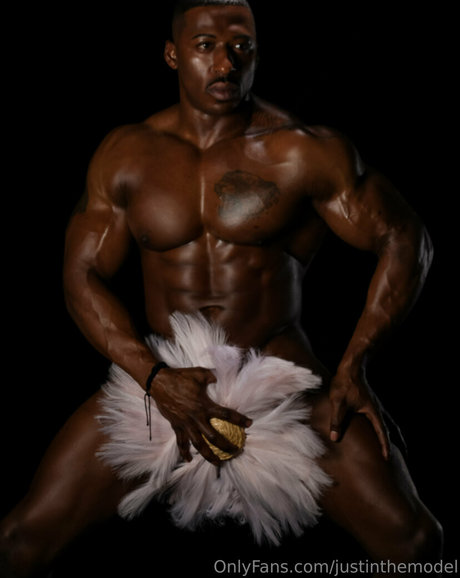 Justinthemodel