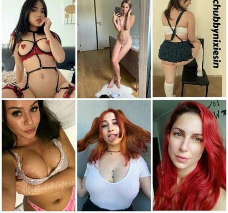 Hollyclue
