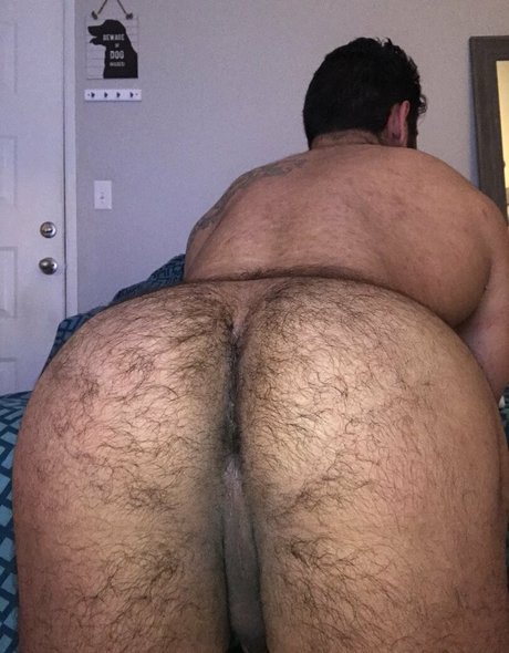 Briefsbull