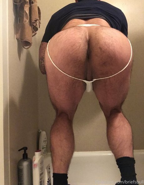 Briefsbull