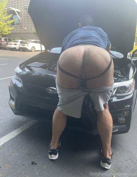 Briefsbull