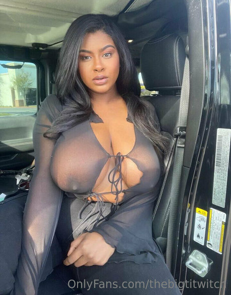 Thebigtitwitch