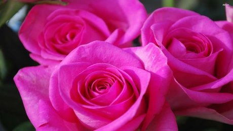 Naken läckt OnlyFans-bild av Rose