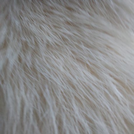 Naken läckt OnlyFans-bild av Yellow Heart