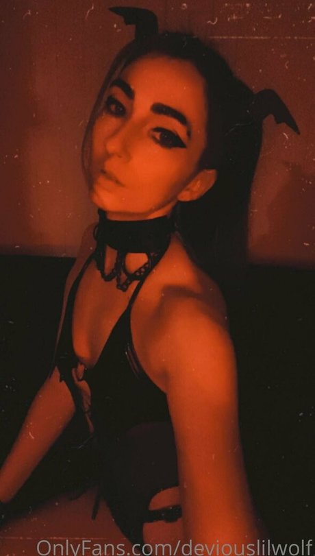 Deviouslilwolf