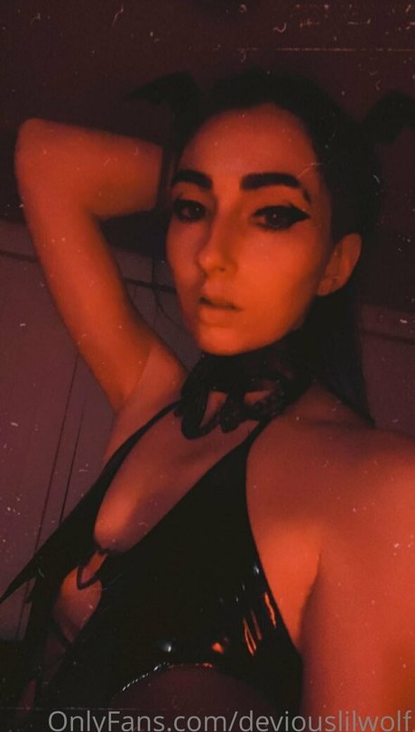 Deviouslilwolf