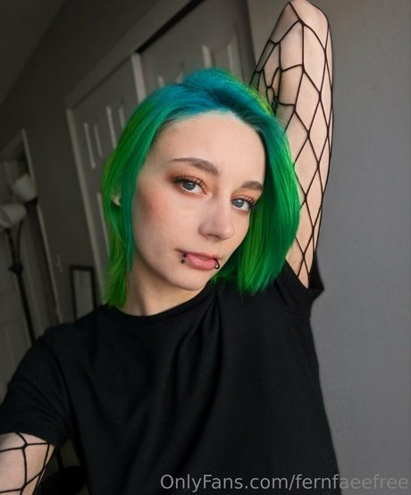 Fernfaeefree