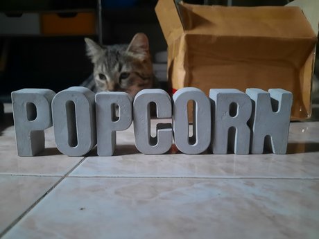 Foto desnuda filtrada de OnlyFans de Popcorn 