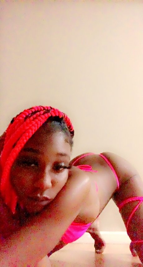 Обнаженная фотография утечки OnlyFans от Pink Poochie 