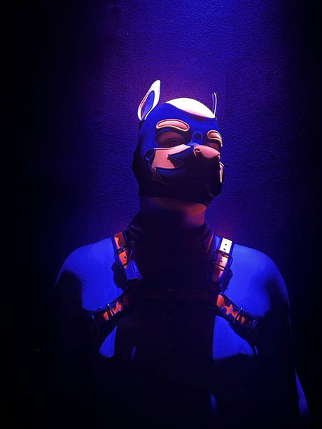 Nahá fotka uniklých OnlyFans od Quentin The Pup
