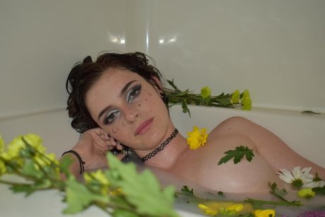 Ashesnsfw