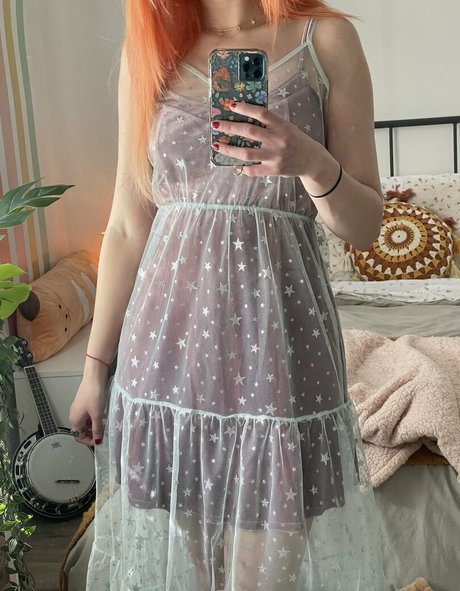 Shelbygraces