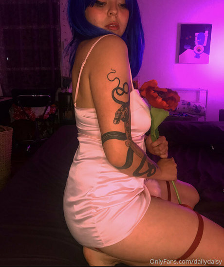 Dailydaisy