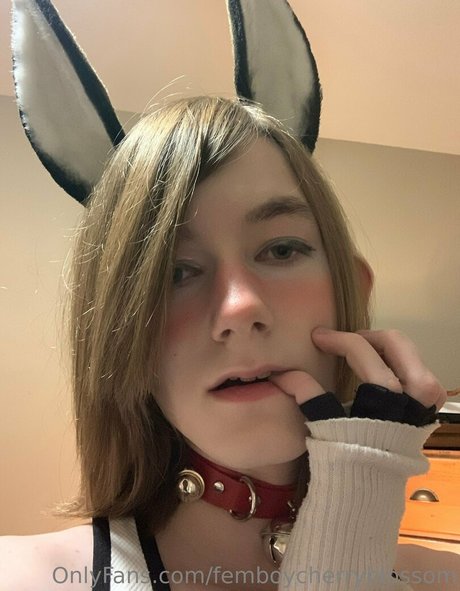 Femboycherryblossom